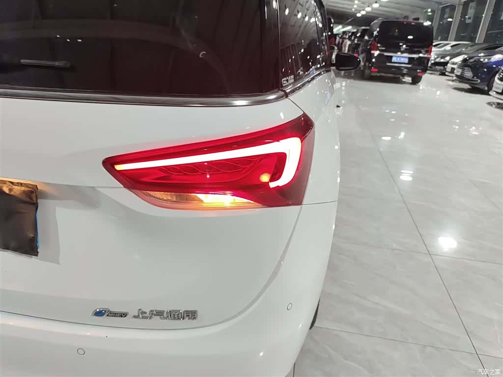 Buick GL6, 2021 8