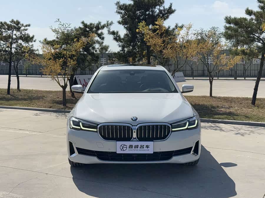 BMW 5 Series 2021, фото 2