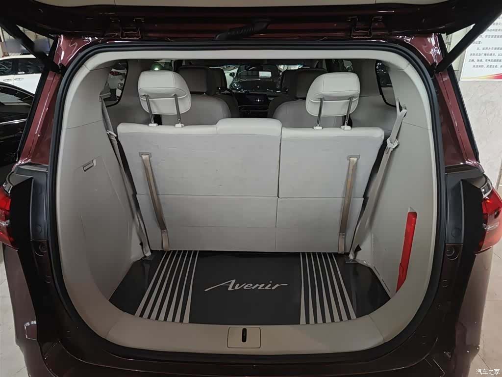 Buick GL8, 2022 10