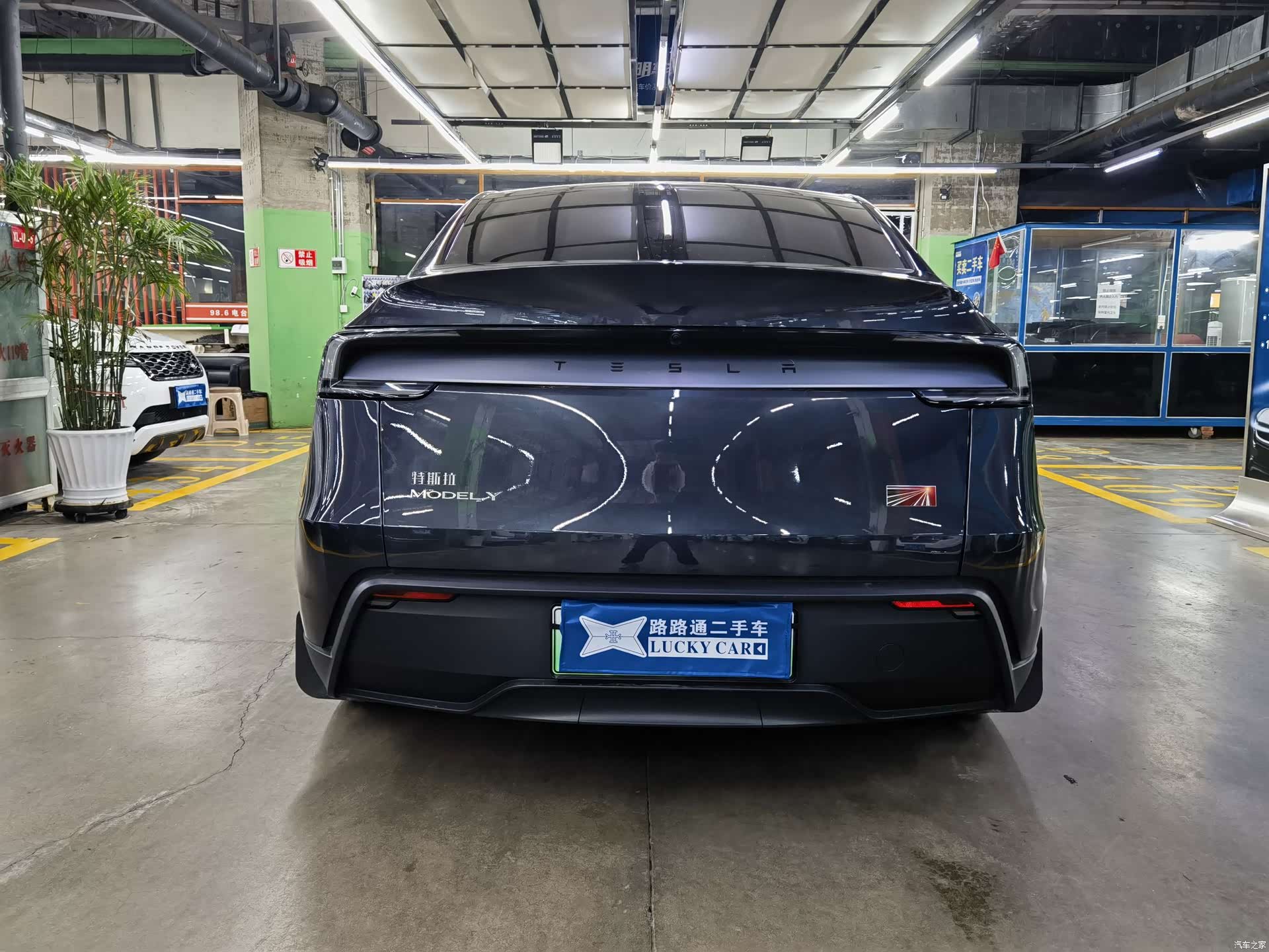 Tesla Model Y, 2025 все фото