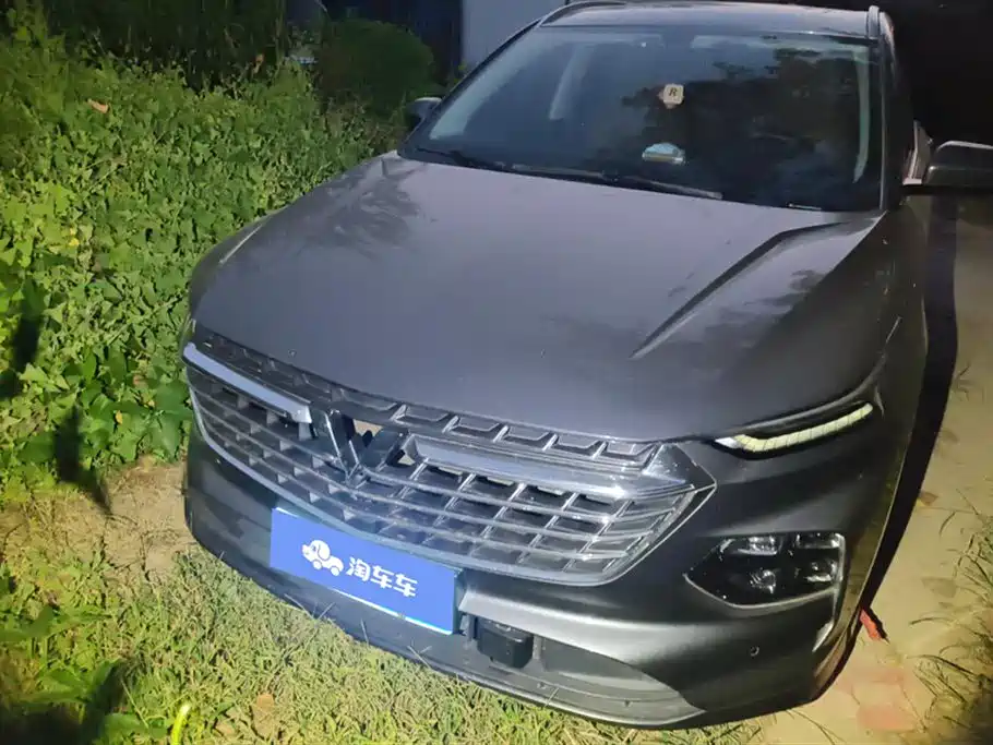 Wuling Wuling Capgemini