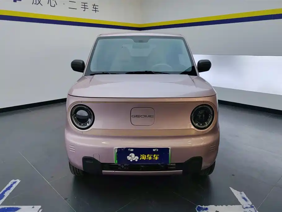 Geely Galaxy panda