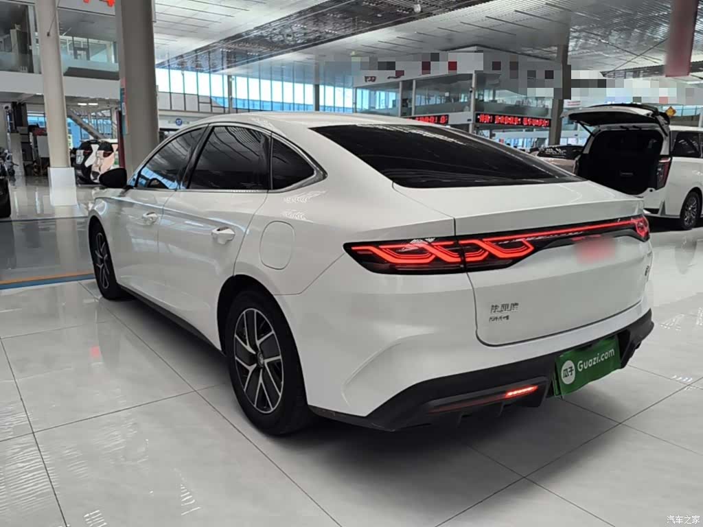 BYD Qin, 2024 все фото