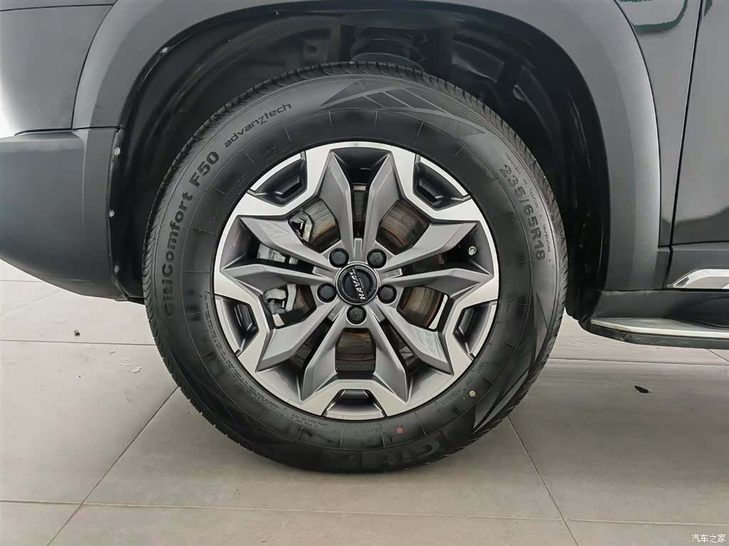 Haval Big Dog, 2021 17