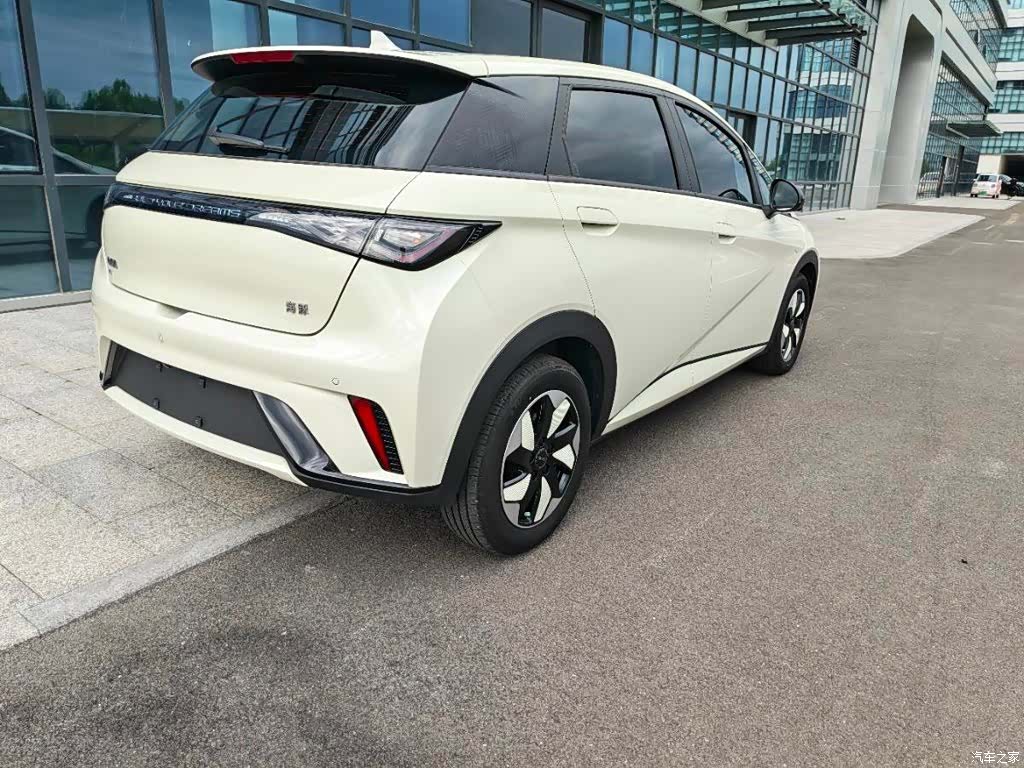 BYD Dolphin, 2025 8