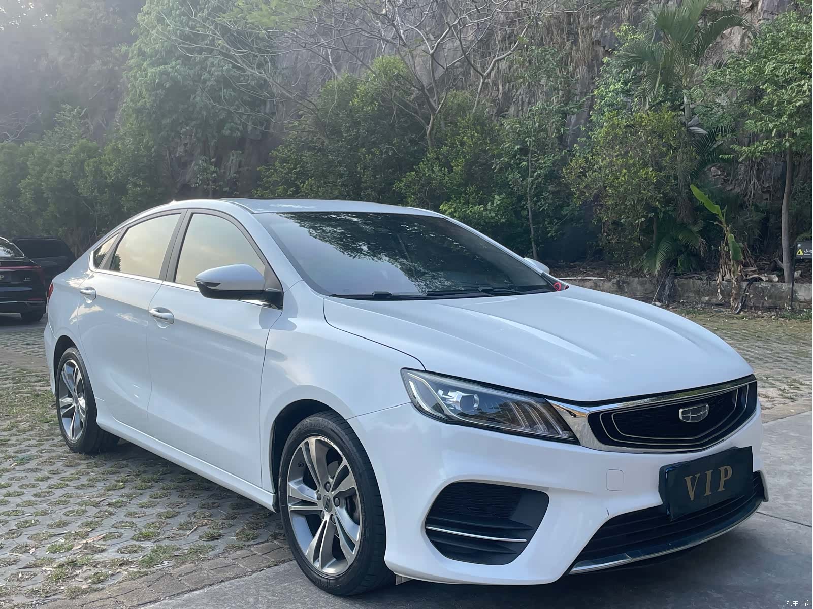 Geely Binray, 2020 3