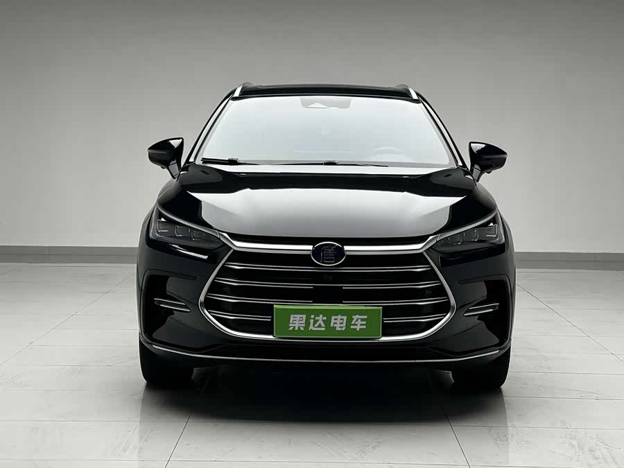 BYD Tang New Energy 2022, фото 2
