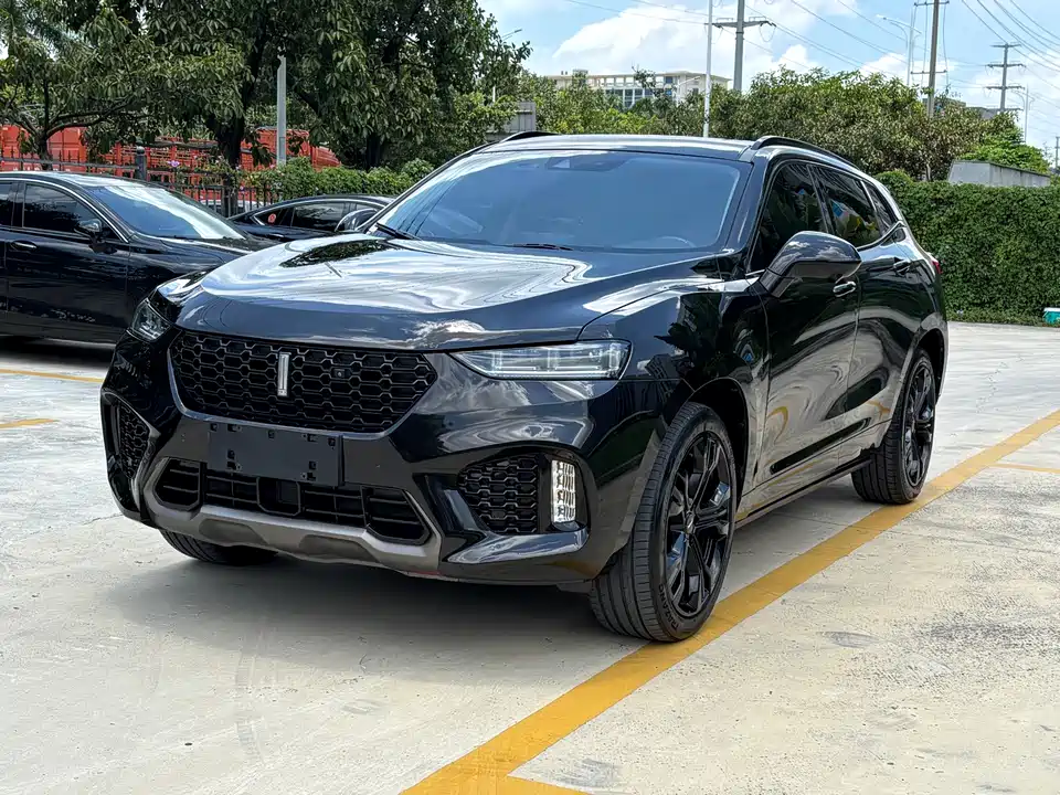 Weipai VV7