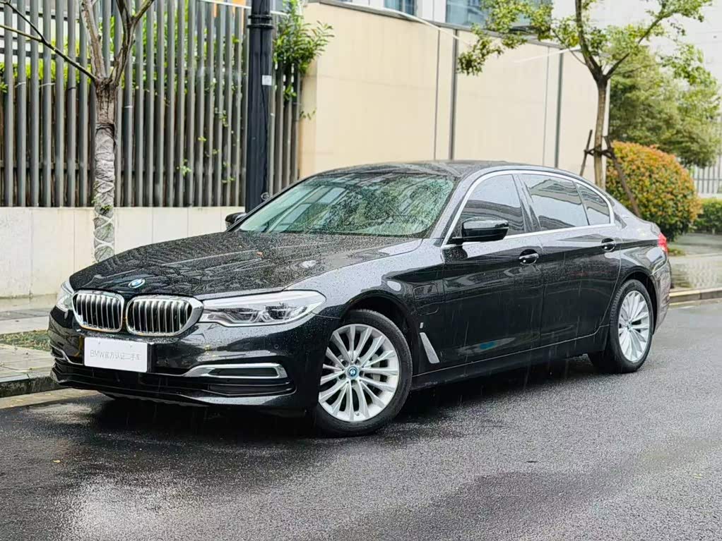 BMW 5 Series 5 2019 530Le