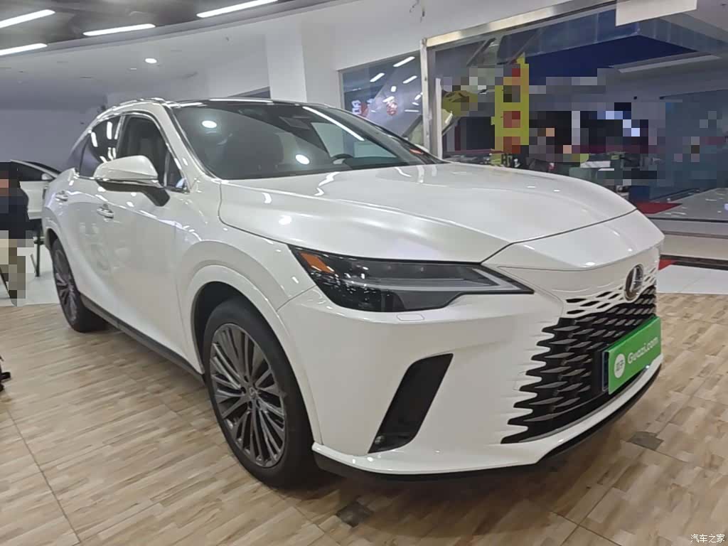 Lexus RX, 2024 22