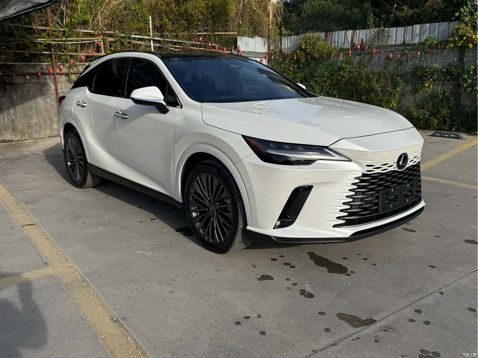 Lexus RX, 2024 2