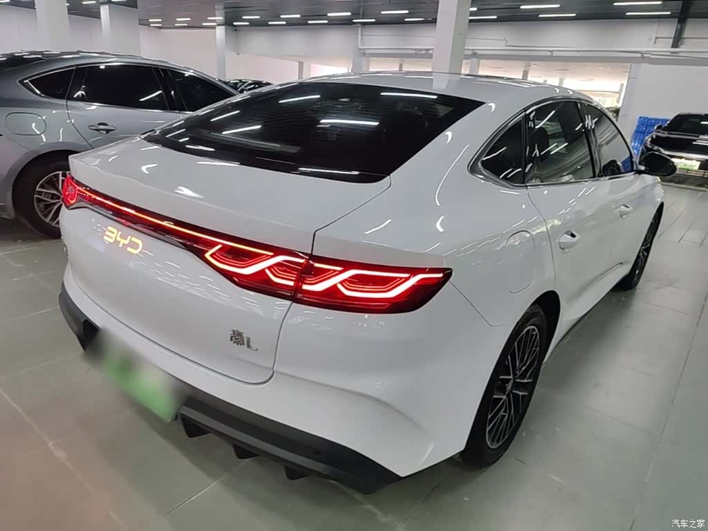 BYD Qin, 2024 все фото