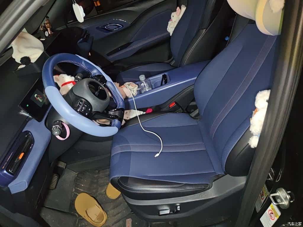 BYD Seagull, 2024 8