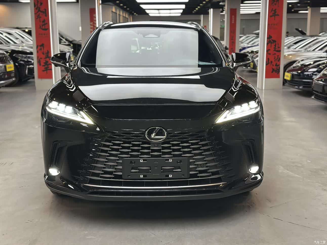 Lexus RX, 2025 3