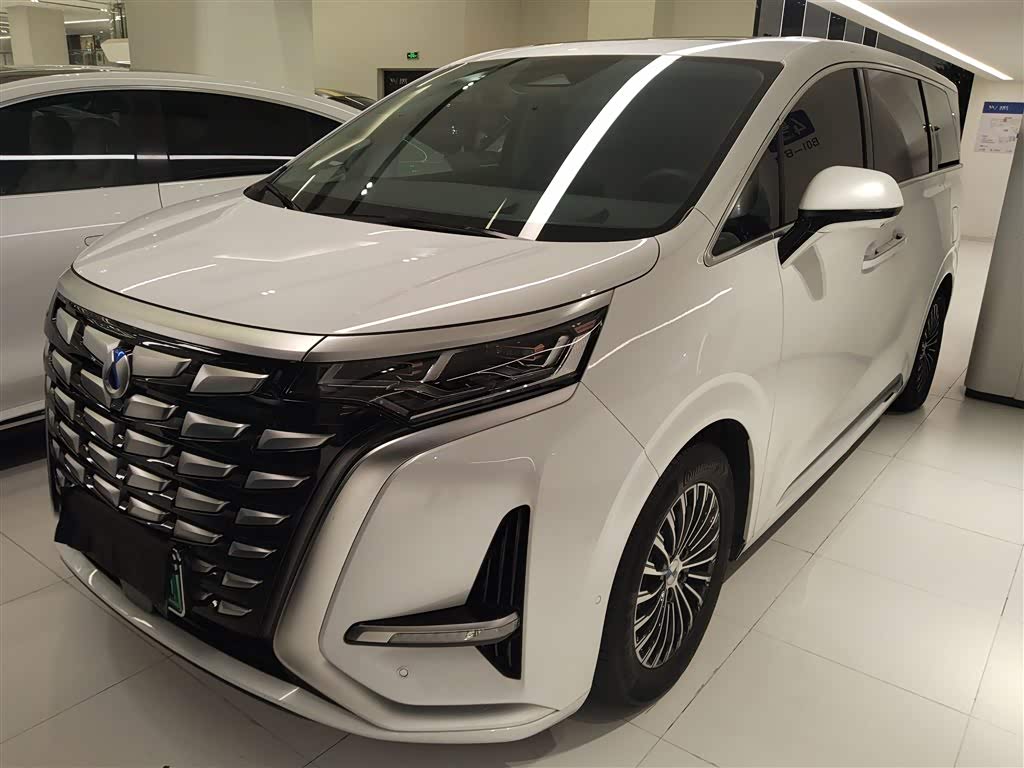 Denza D9