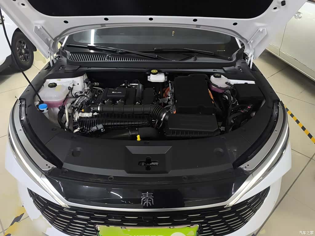 BYD Qin, 2024 20