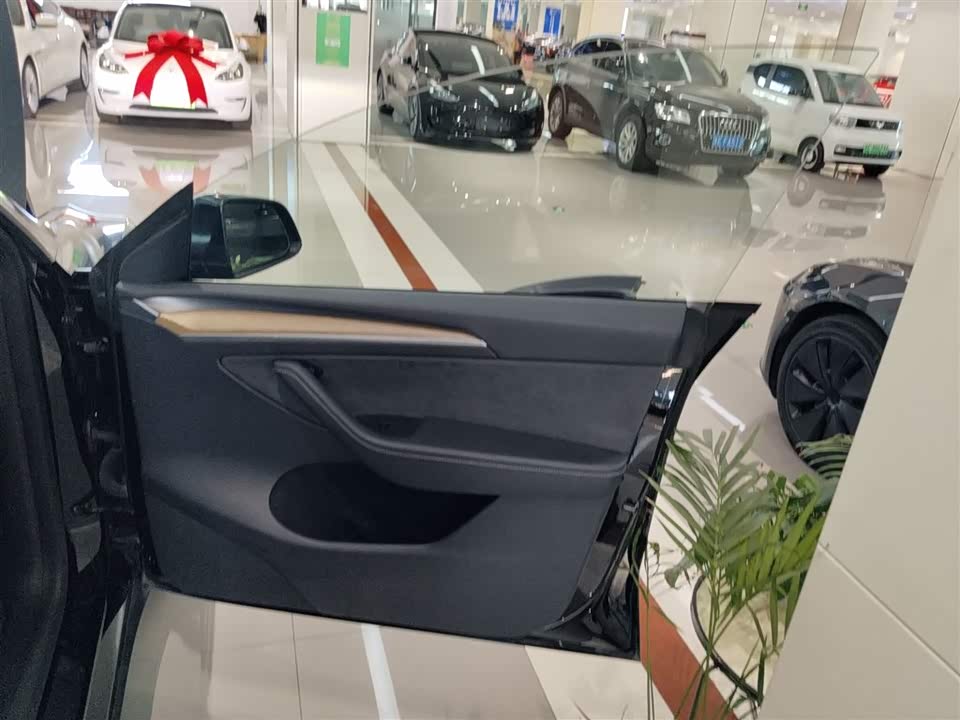 Tesla Model Y Tesla Model Y