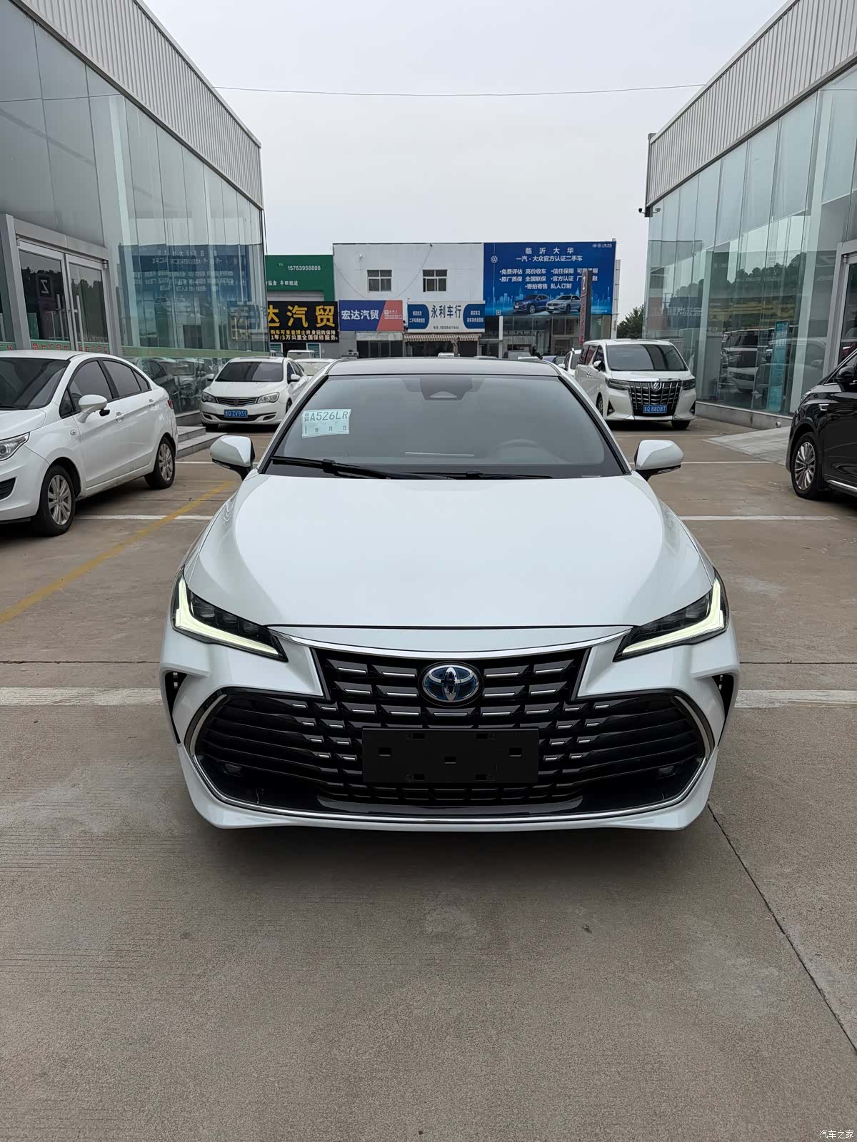 Toyota Avalon