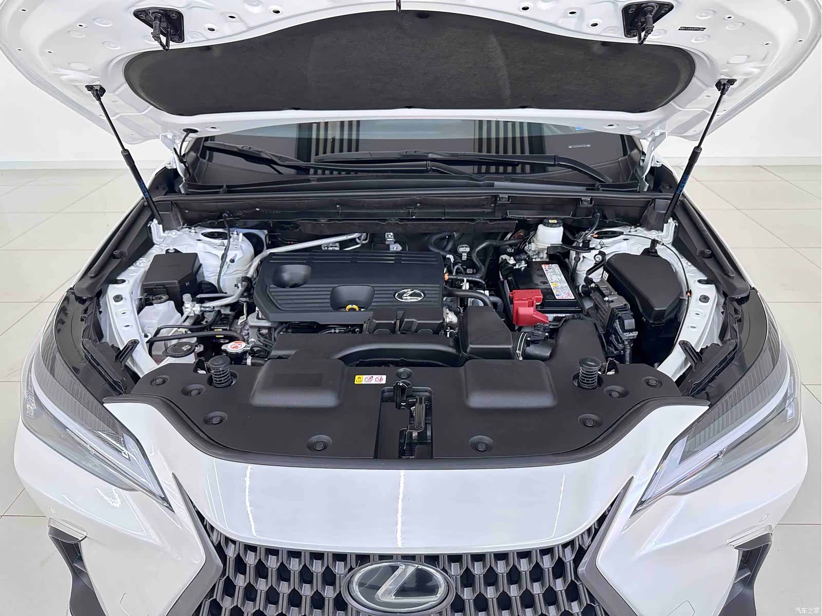Lexus NX, 2024 7