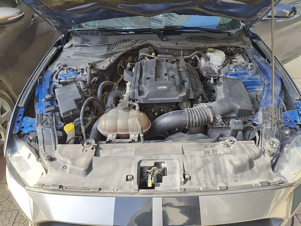 Ford Mustang Ford Mustang