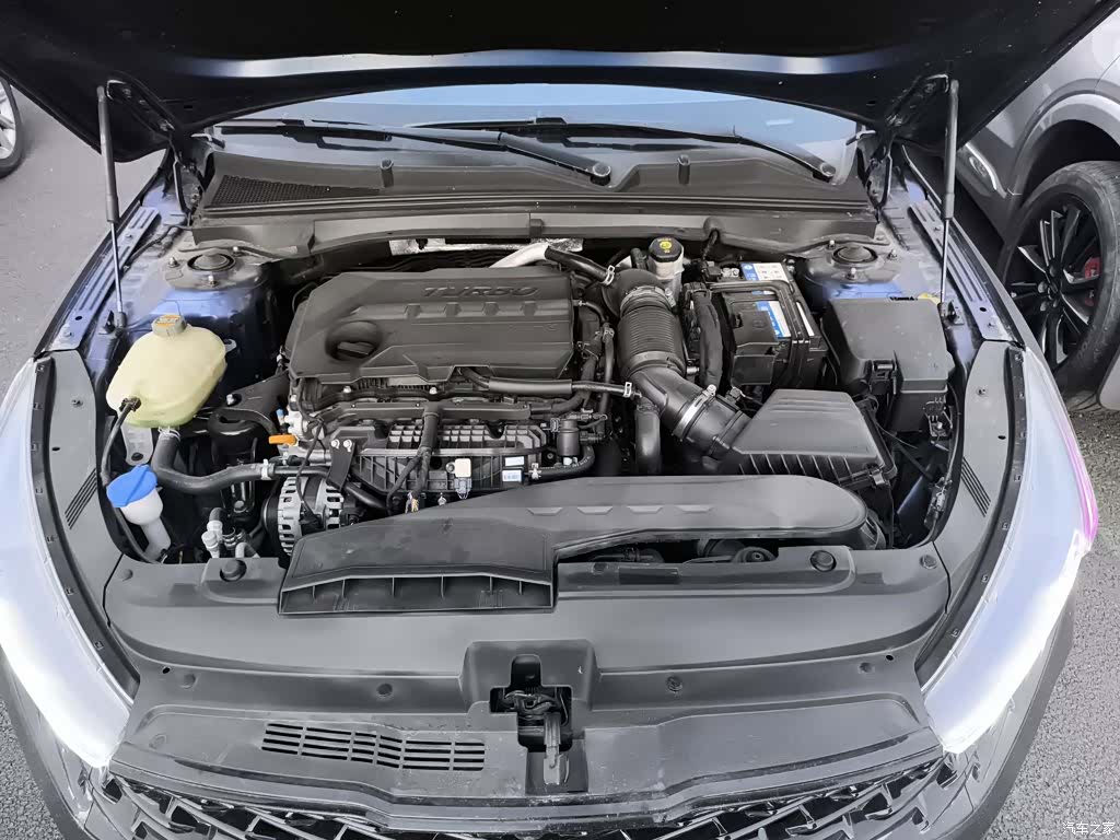 Kia K5, 2020 10