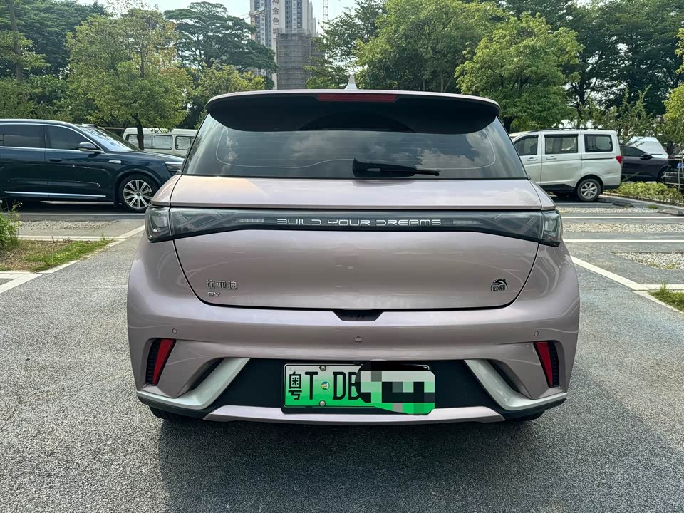 BYD dolphin
