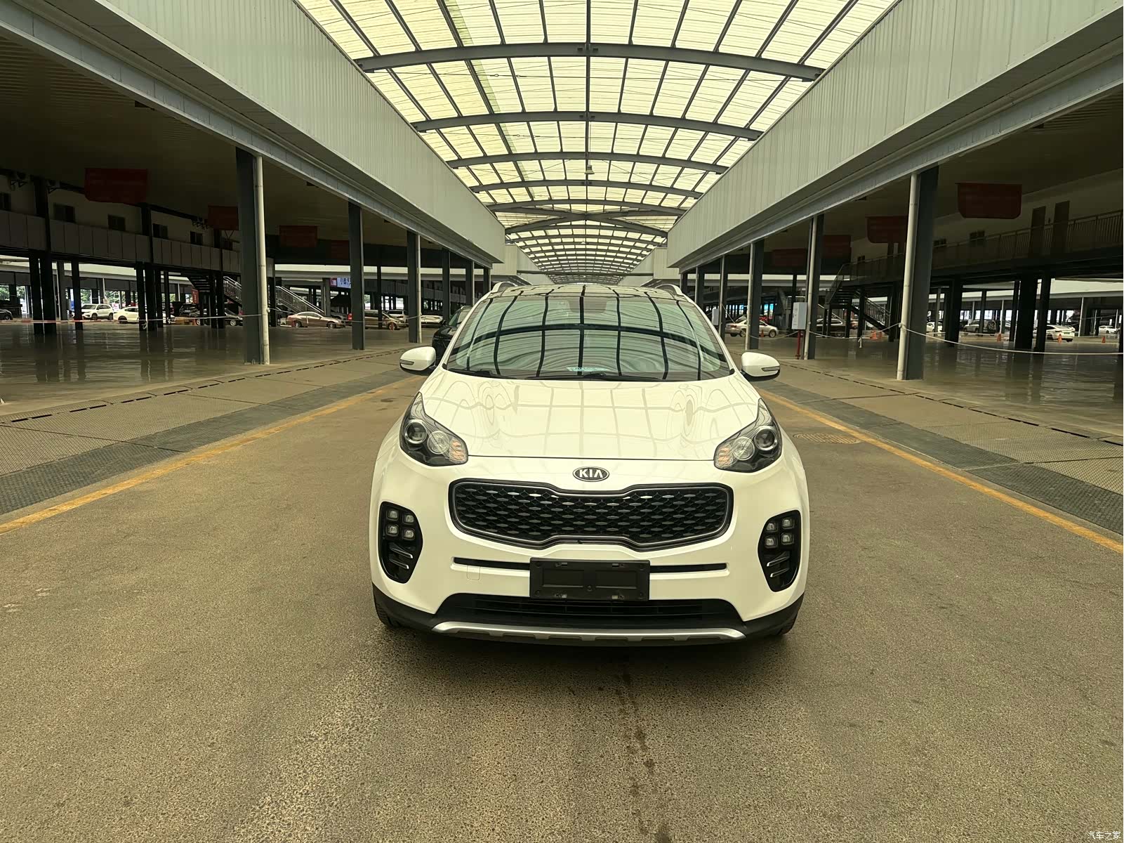 Kia KX5, 2017 2