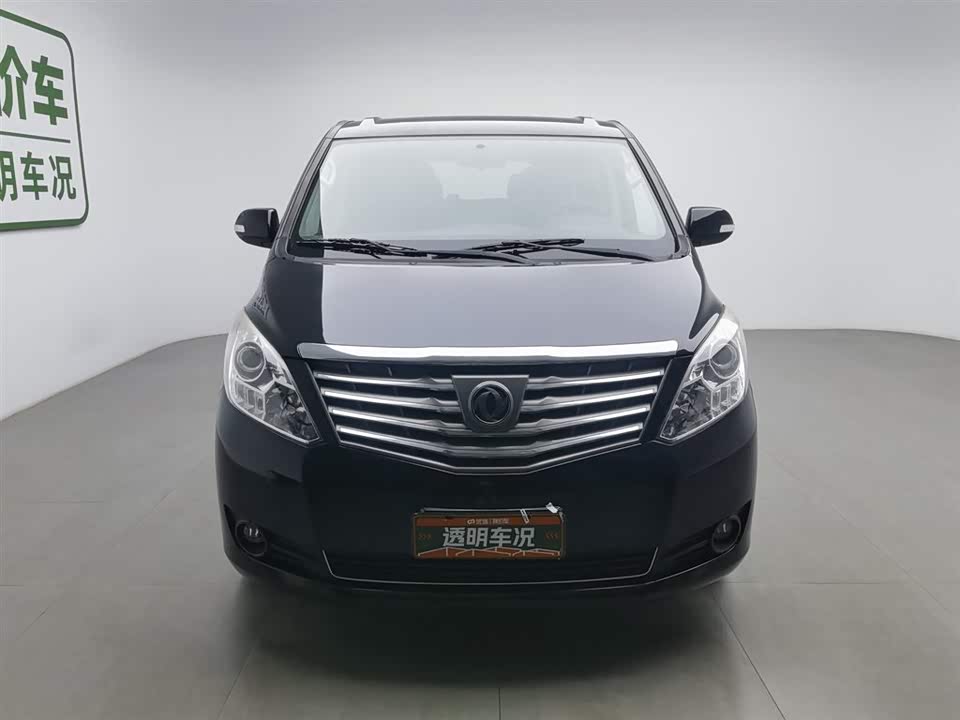 Forthing Lingzhi PLUS