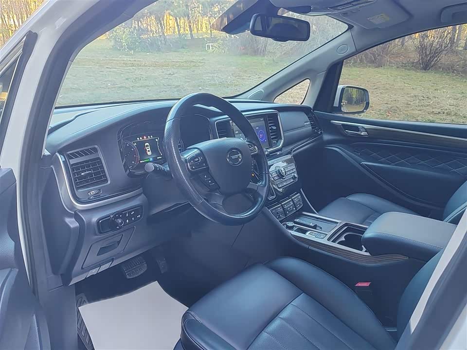 Trumpchi Trumpchi M8