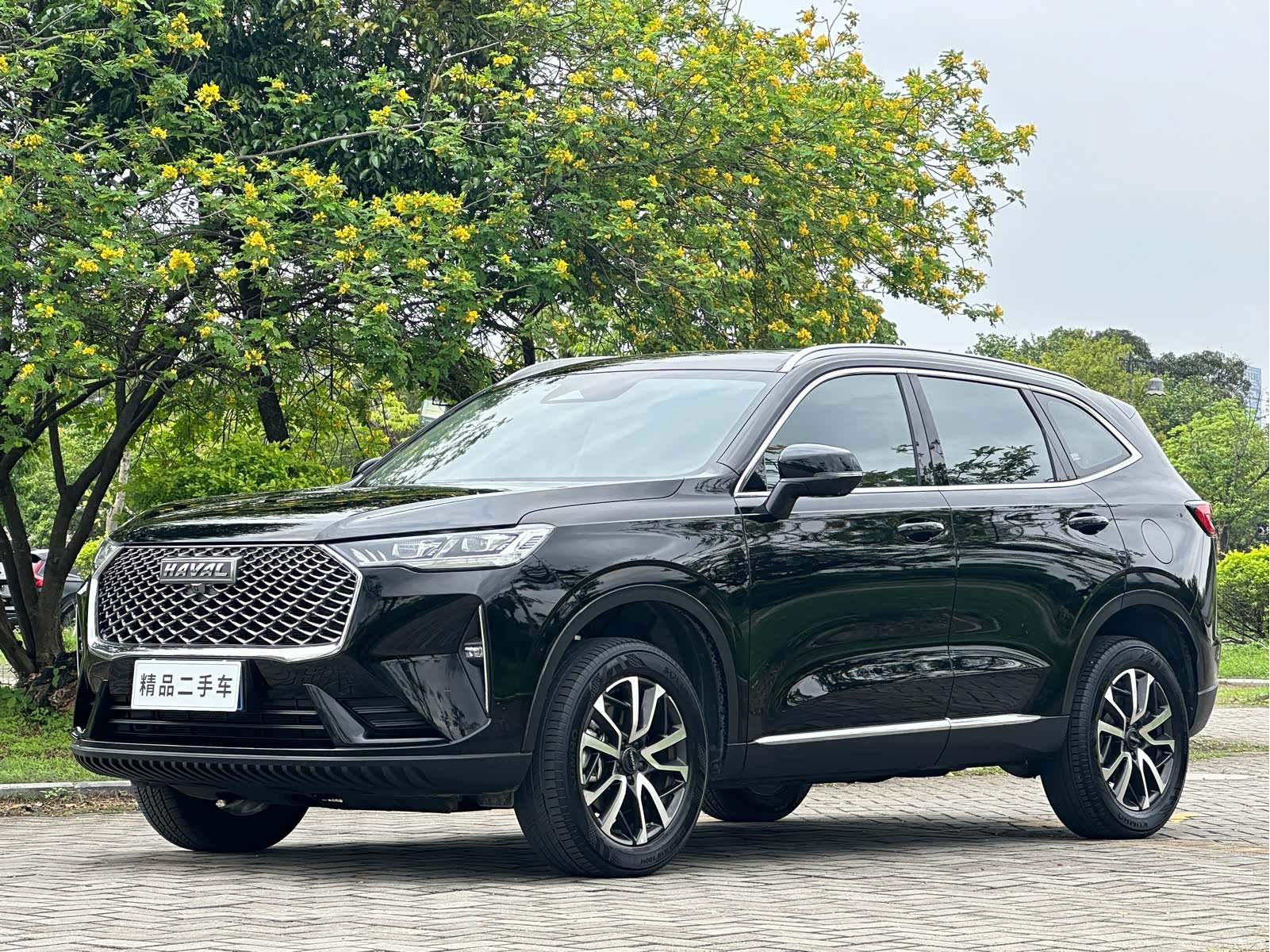 Haval H6, 2023 1