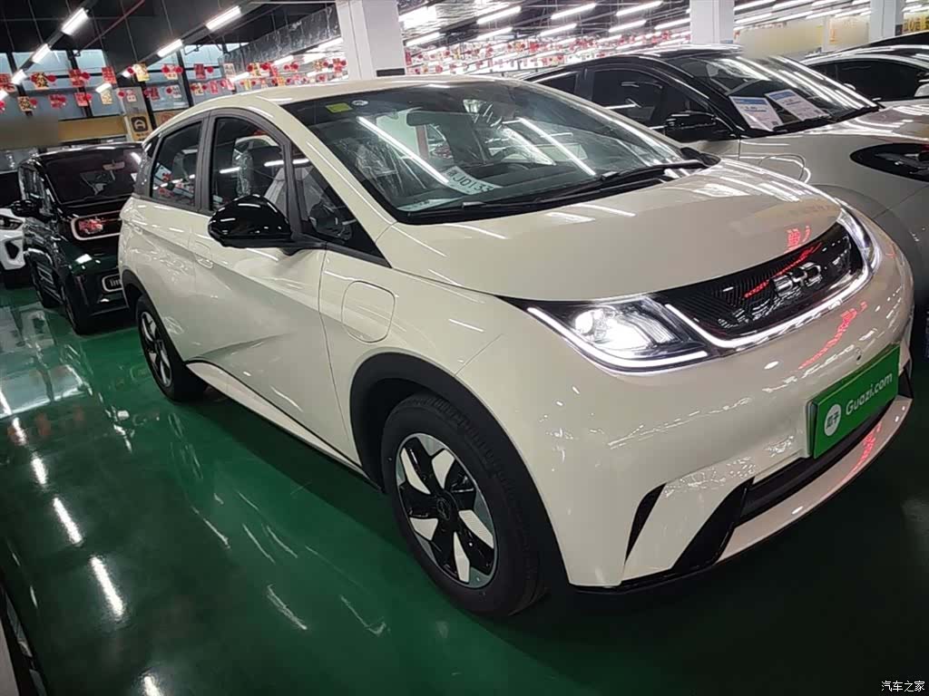 BYD Dolphin, 2026 4