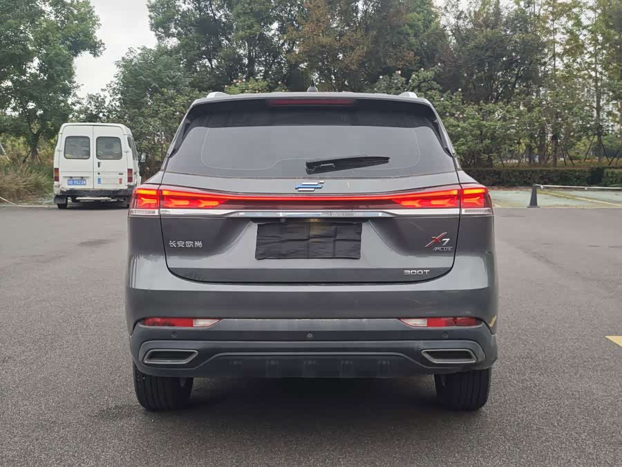 Oshan Oshan X7 Plus 2023, фото 14
