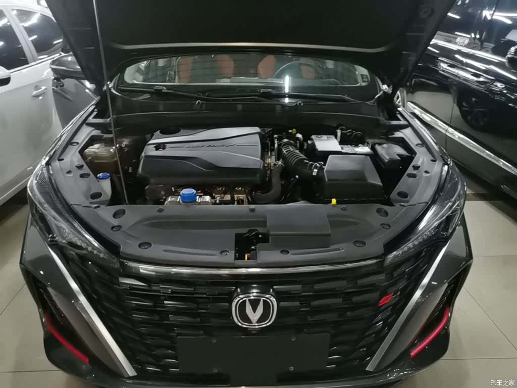 Changan Eado, 2024 20