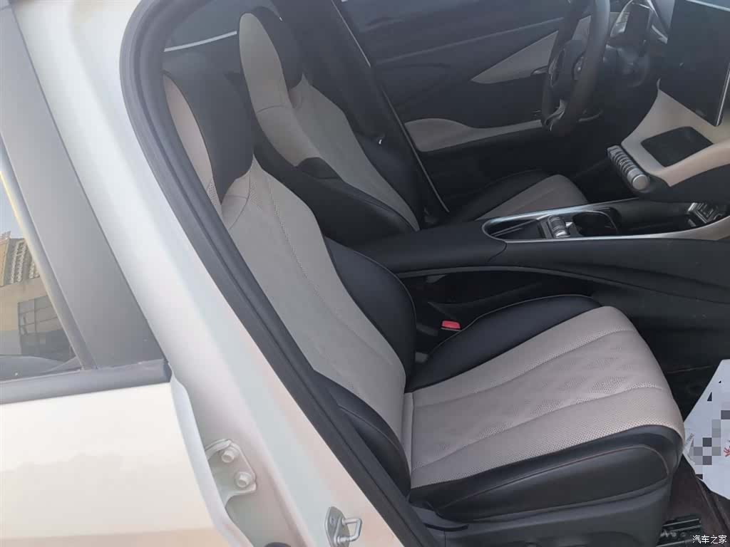 BYD Dolphin, 2023 25