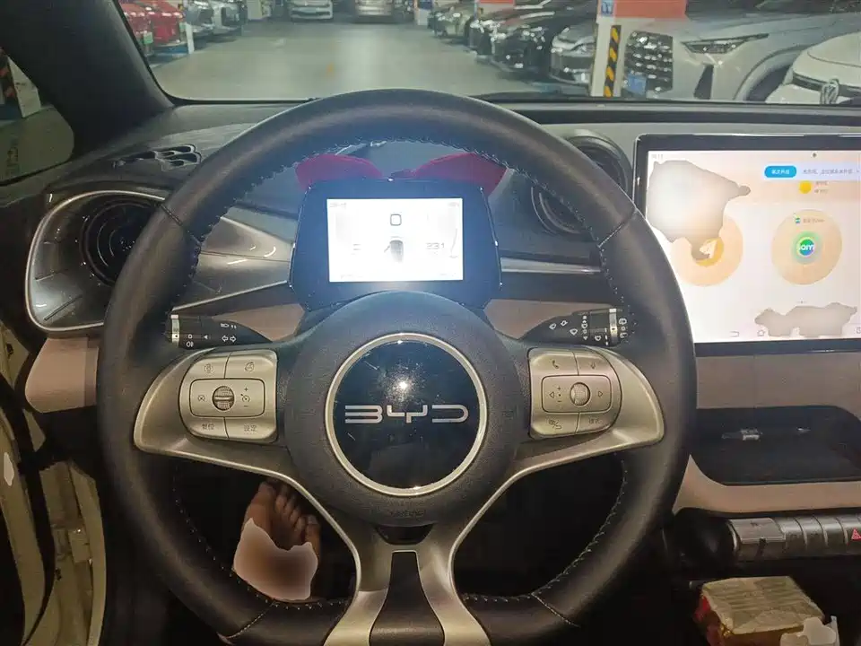 BYD dolphin
