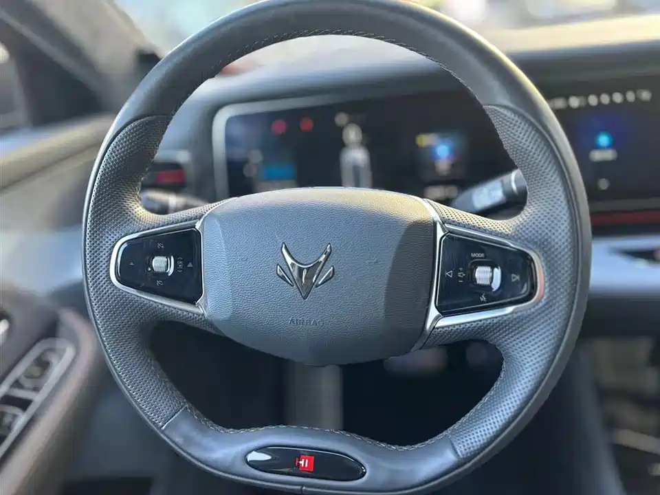 ARCFOX Polar Fox Alpha S