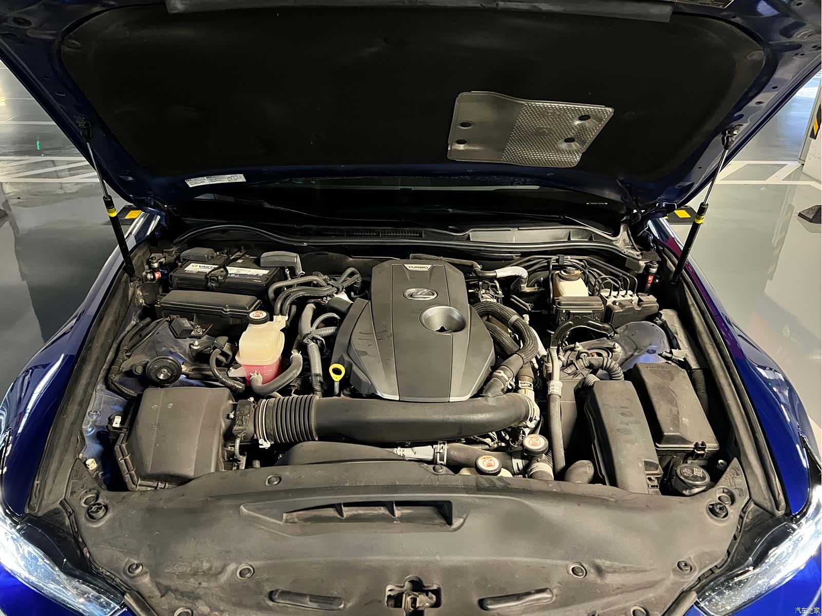 Lexus IS, 2018 15