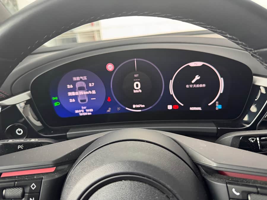 Porsche Macan NEV 2025, фото 17