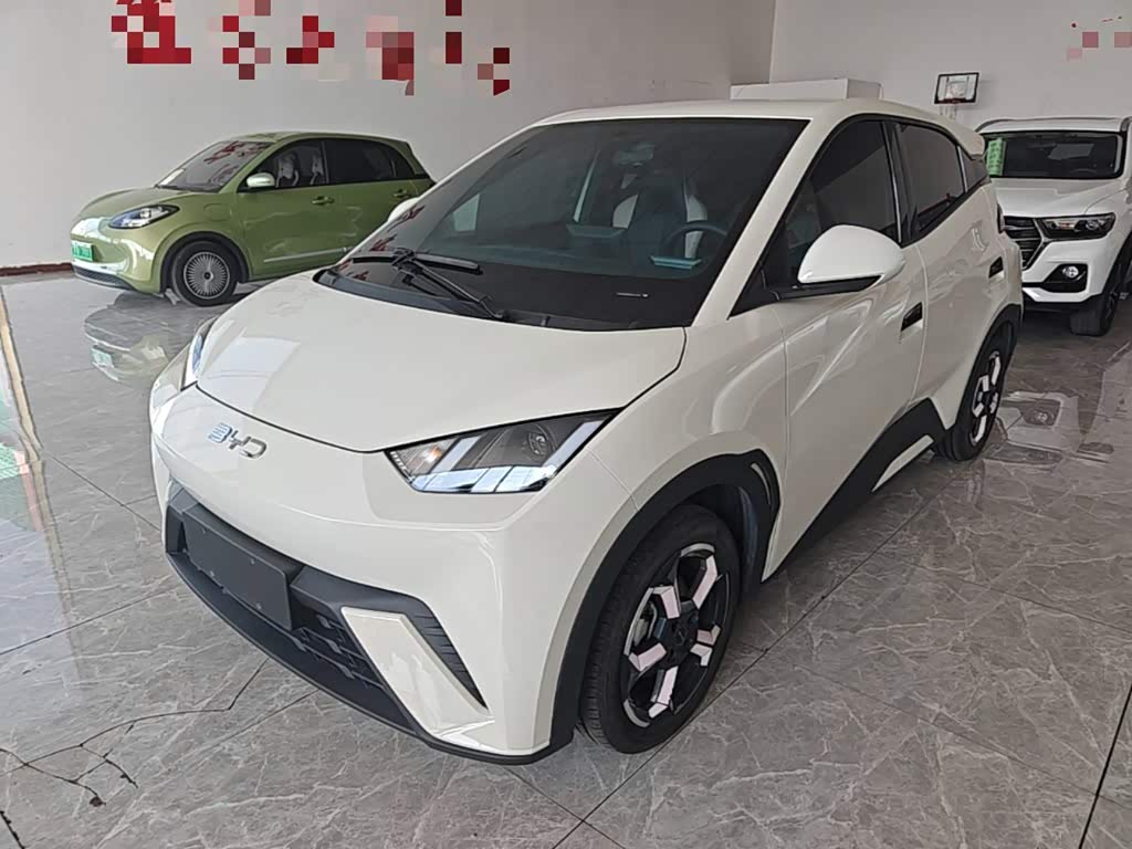 BYD Seagull