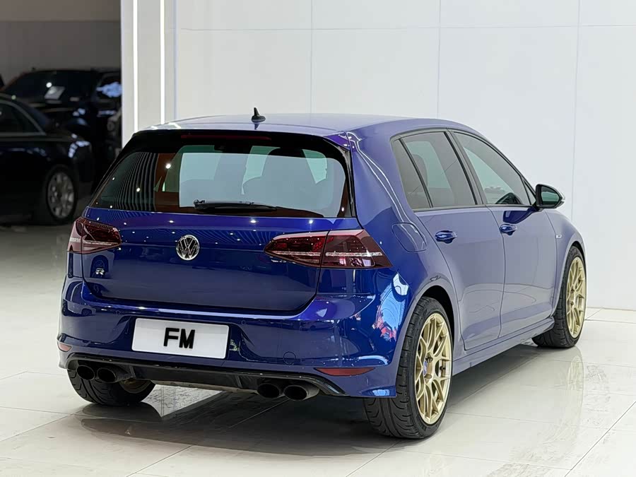 Volkswagen Golf 2016, фото 12