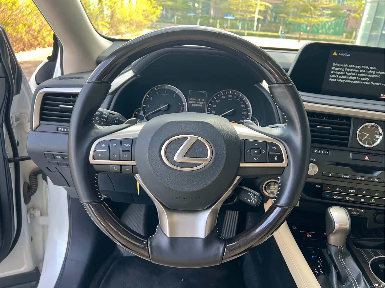 Lexus RX, 2025 25