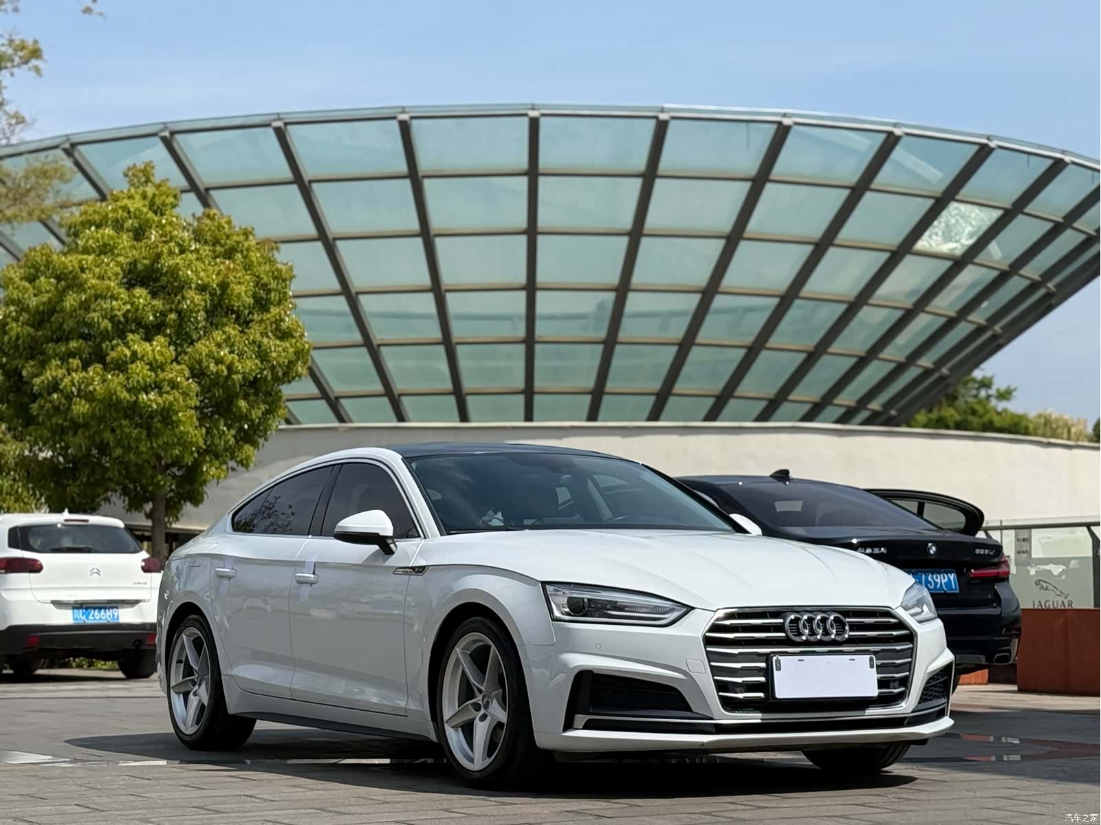 Audi A5, 2017 3