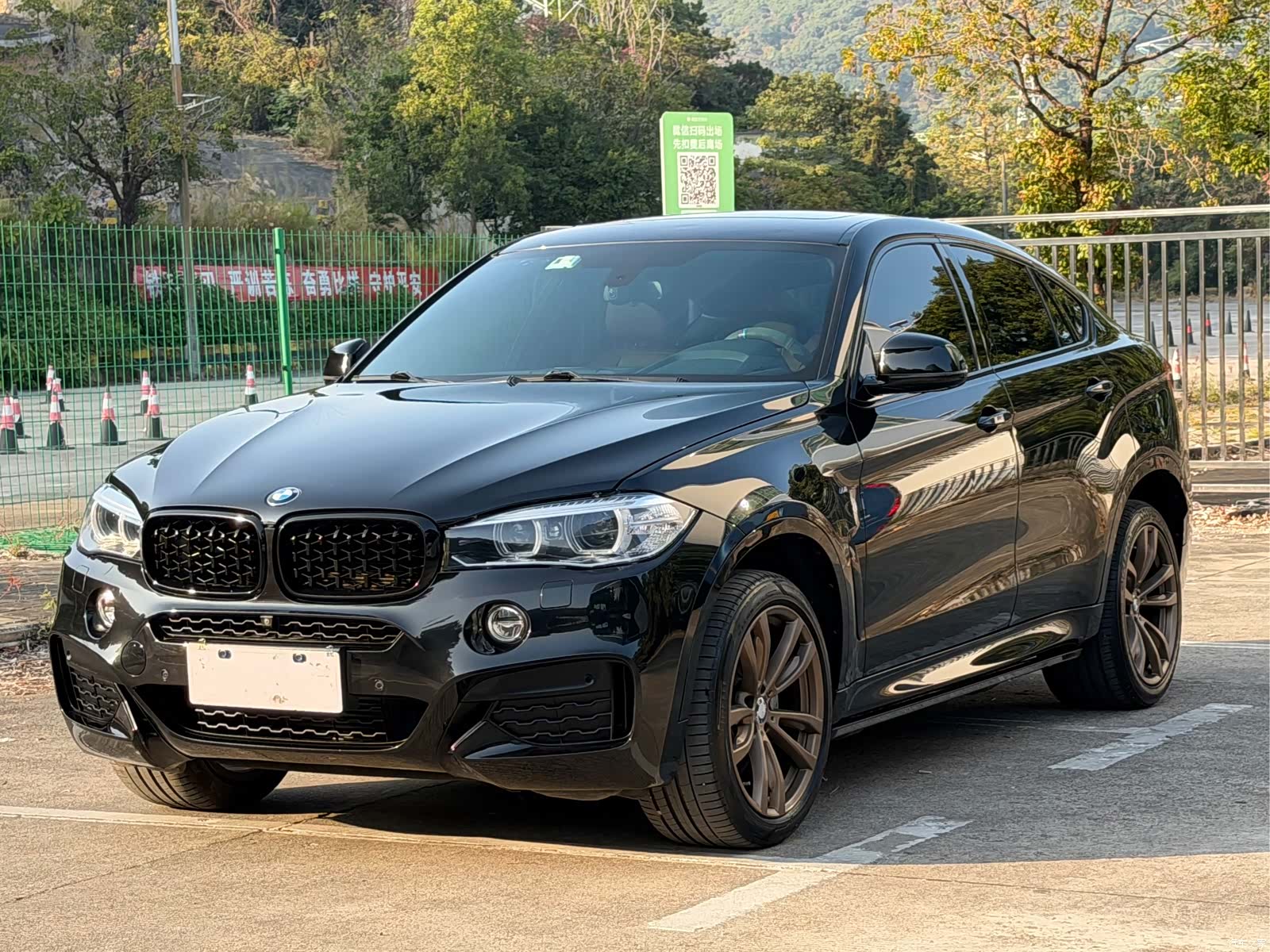 BMW X6, 2019 1