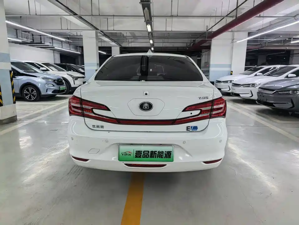 BYD Qinxin Energy