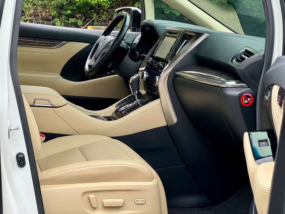 Toyota Elfa