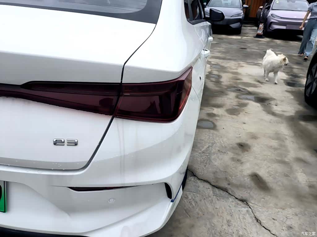 BYD E3, 2024 8