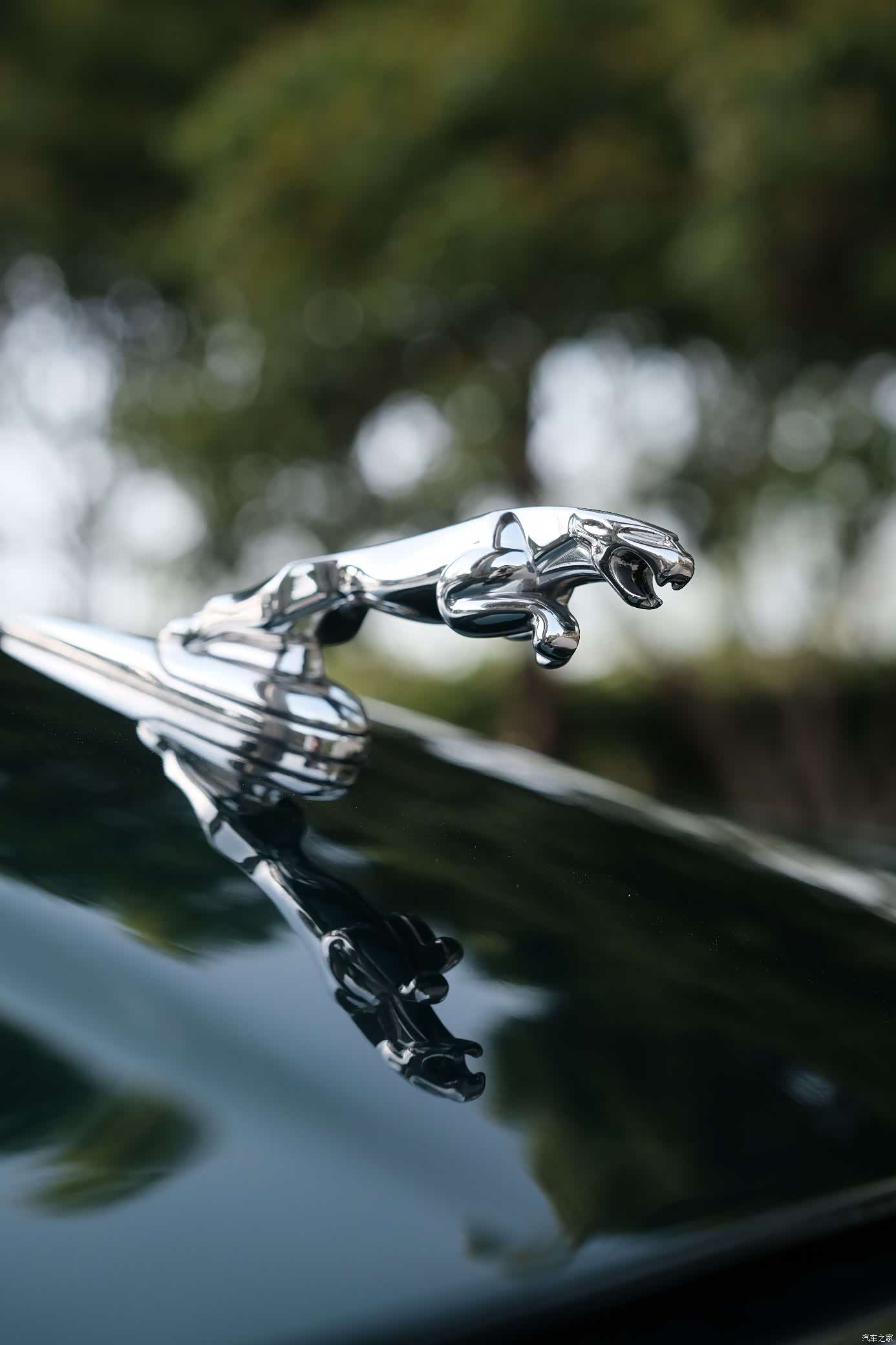 Jaguar XJ, 2007 16