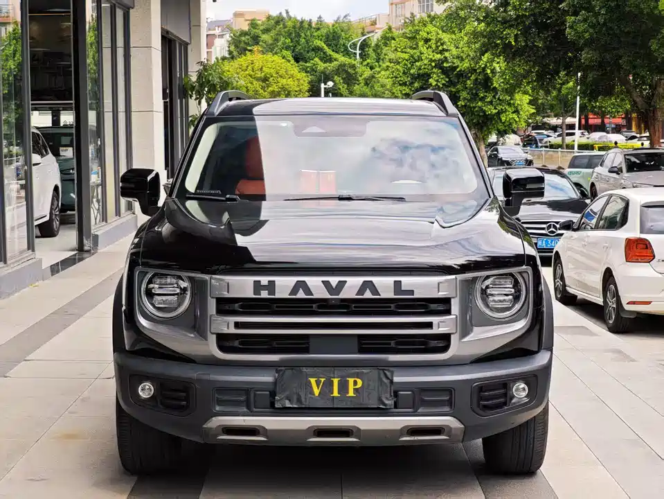 Haval Big dog