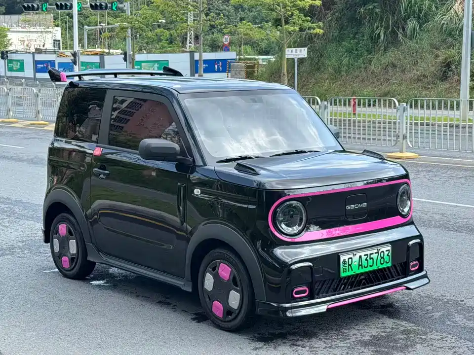 Geely Galaxy panda
