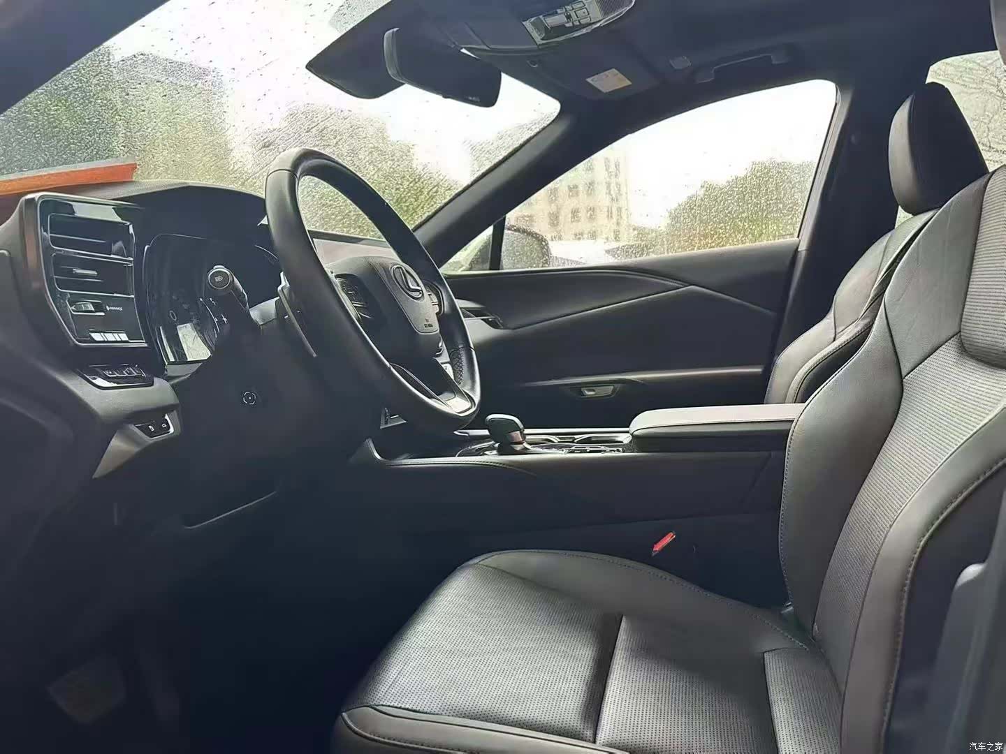 Lexus RX, 2024 6